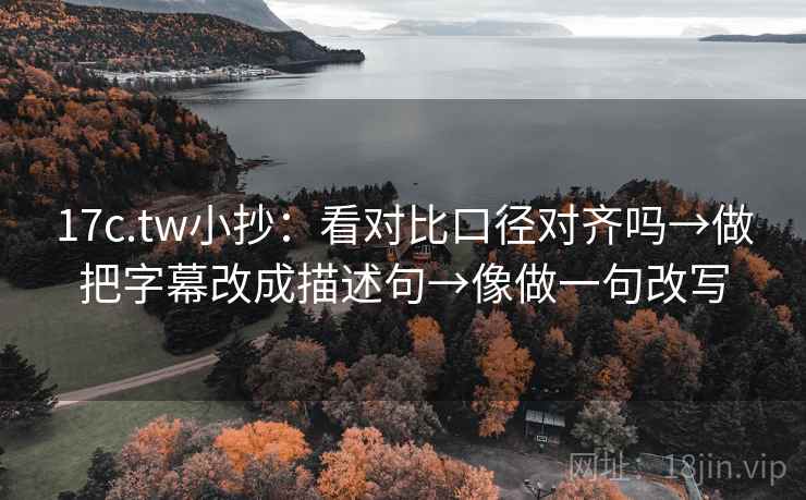 17c.tw小抄：看对比口径对齐吗→做把字幕改成描述句→像做一句改写