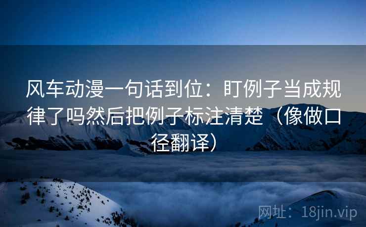 风车动漫一句话到位：盯例子当成规律了吗然后把例子标注清楚（像做口径翻译）