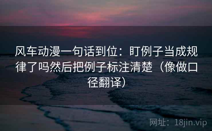 风车动漫一句话到位：盯例子当成规律了吗然后把例子标注清楚（像做口径翻译）